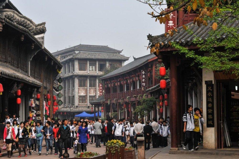 月季花怎么养游戏画面